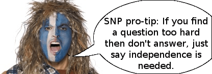 SNP spokesman 4