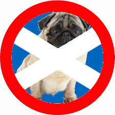 no-pugs